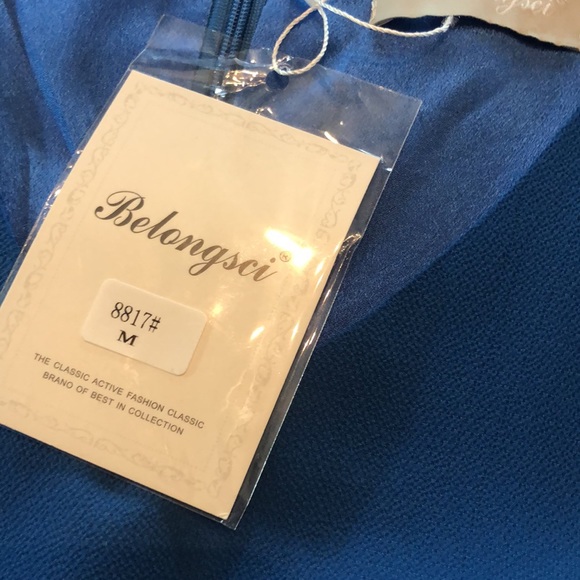 NWT Blue Ruffle sleeve Dress - Picture 7 of 14